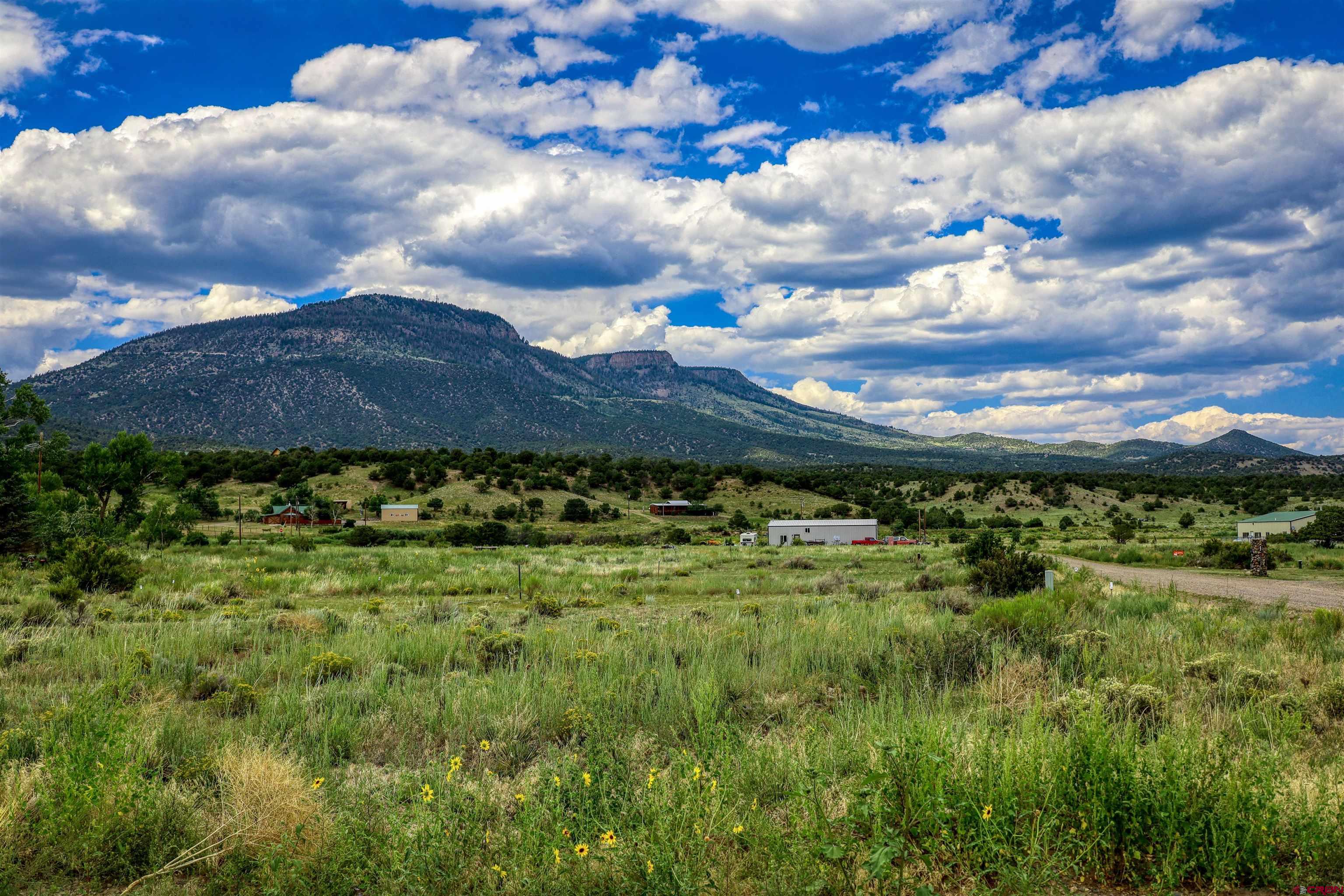 227 Red Feather Road South Fork, CO 81154 - Photo 9 of 32 a view of a pathway with a yard