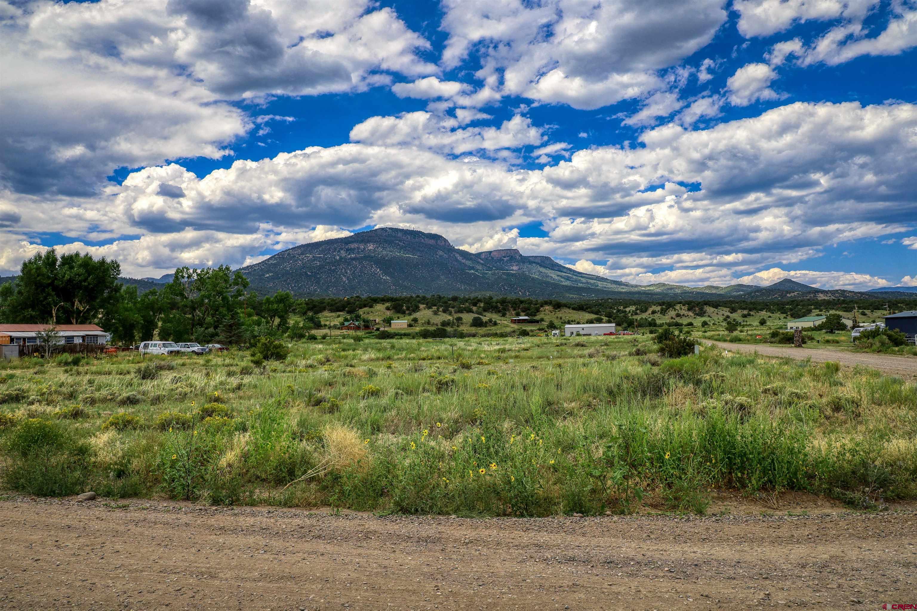 227 Red Feather Road South Fork, CO 81154 - Photo 10 of 32 a view of an outdoor space and yard