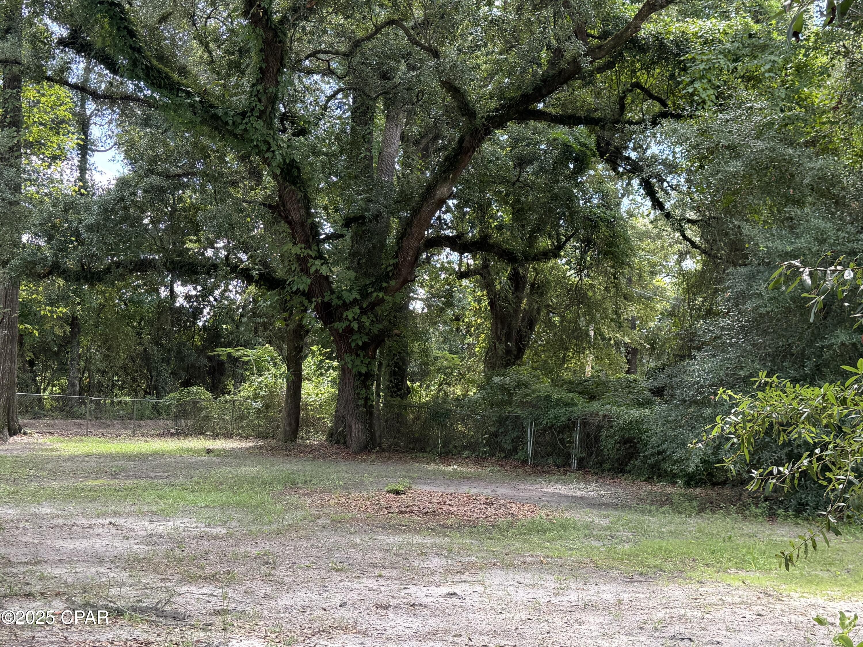 5947 Highway 2 Bascom, FL 32423 - Photo 36 of 36