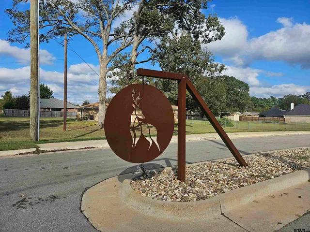 a view of a park with entertaining space