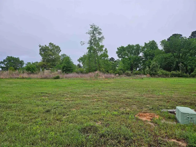 a backyard of a house with lots of green space and fountain