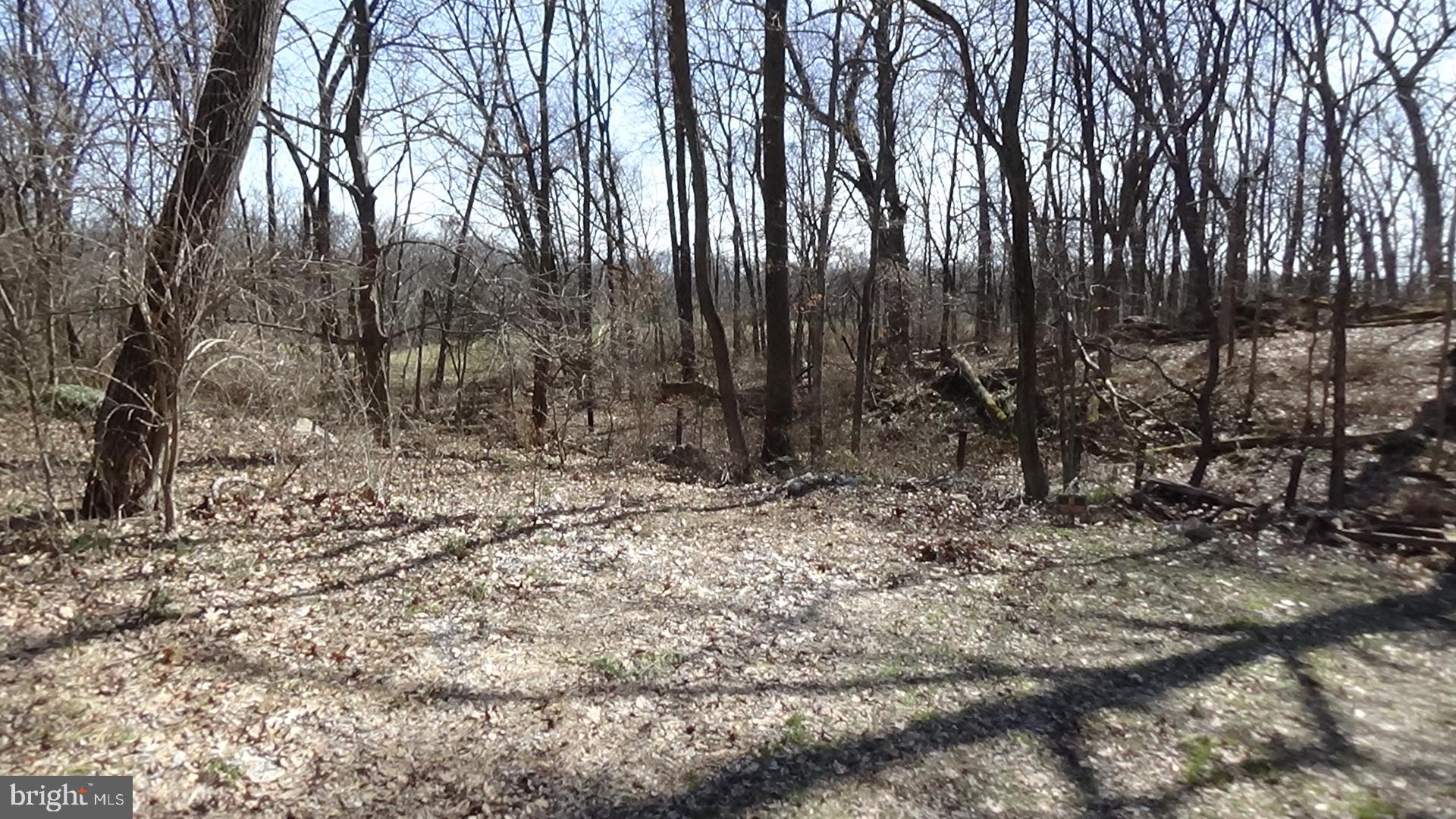2124 Ritner Highway Carlisle, PA 17015 - Photo 57 of 61 Gallery Image 57