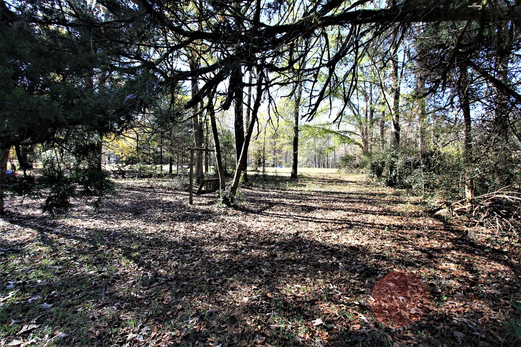 547 Costley Road LaGrange, GA 30241 - Photo 4 of 18 Gallery Image 4
