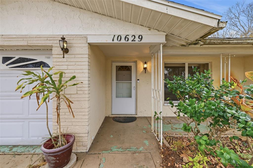 10629 Cymbid Drive Port Richey, FL 34668 - Photo 2 of 32