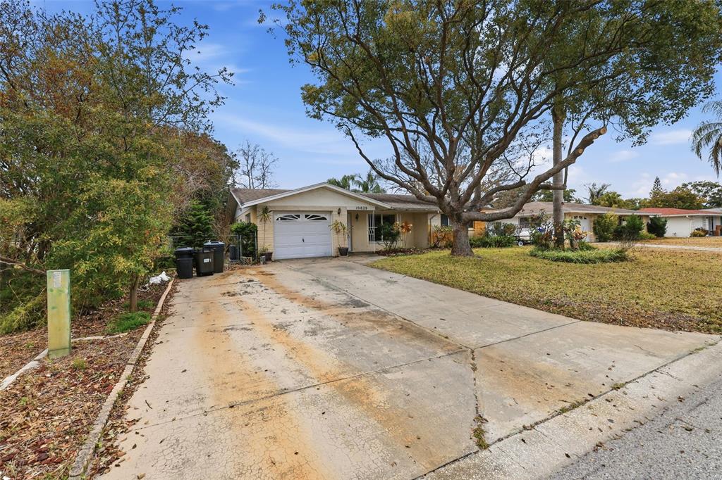 10629 Cymbid Drive Port Richey, FL 34668 - Photo 31 of 32