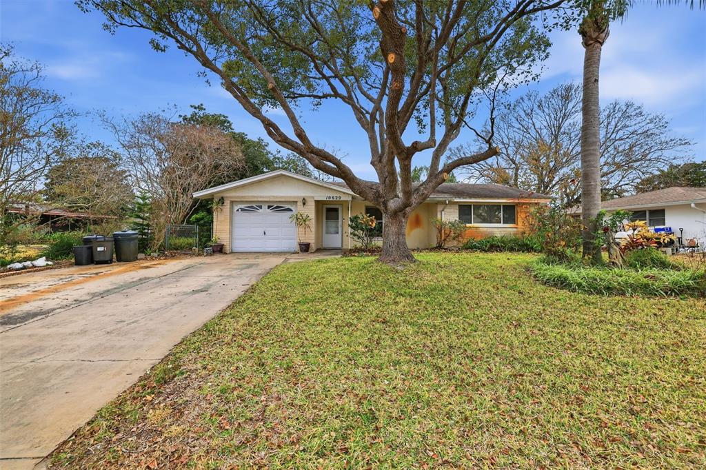 10629 Cymbid Drive Port Richey, FL 34668 - Photo 32 of 32