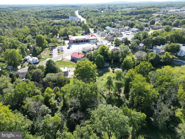 a view of a lush green forest with trees and houses