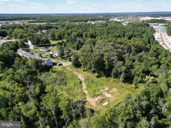 a view of a tree with a yard