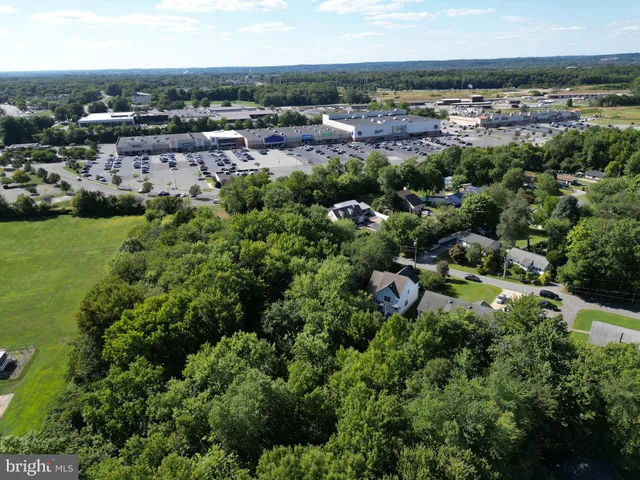 a view of a city with lush green forest