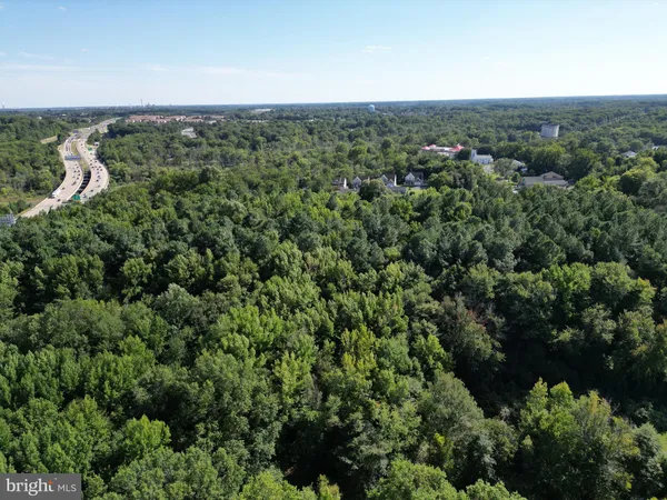 a view of a green field with lots of bushes