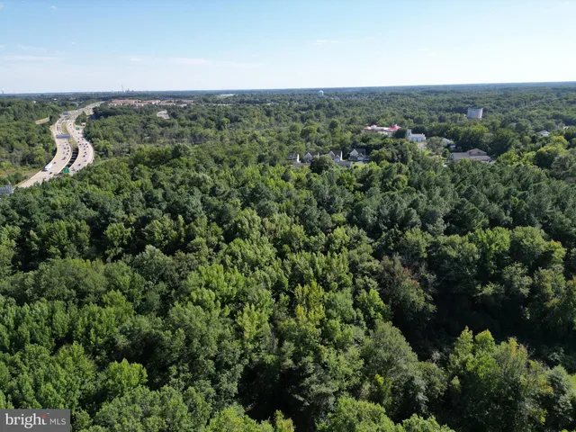 a view of a green field with lots of bushes