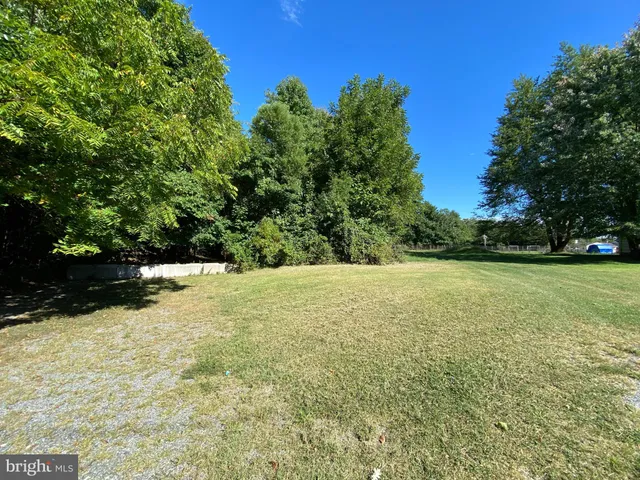 a view of a lush green field with lots of flower in the background