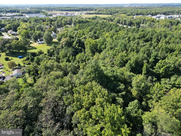 an aerial view of forest