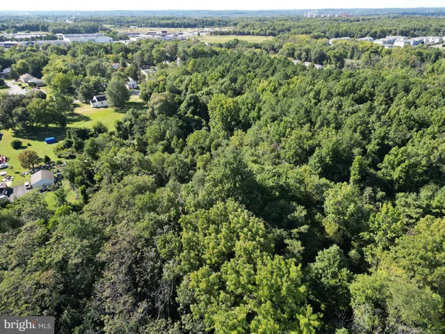 an aerial view of forest