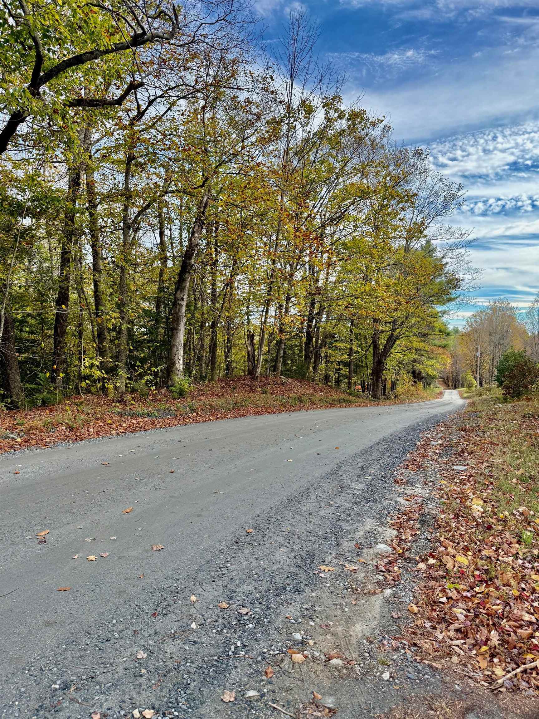 1091 Townshend Dam Road Wardsboro, VT 05355 - Photo 22 of 25