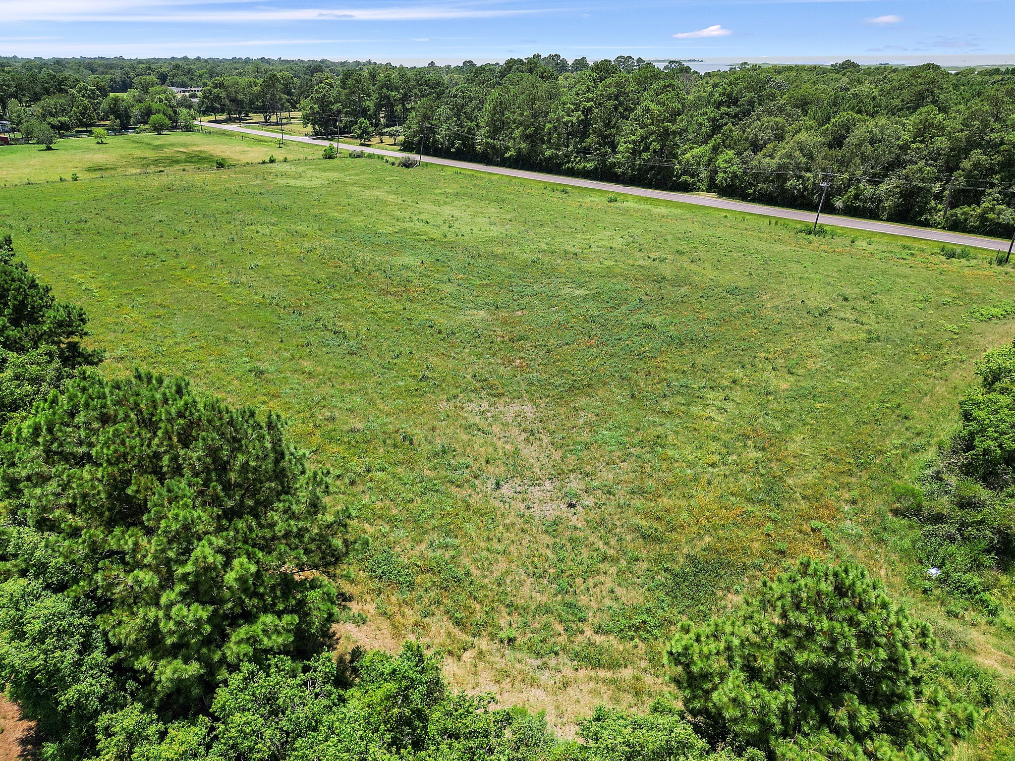 0 South Main Street Anahuac, TX 77514 - Photo 11 of 17 a view of a green field with lots of bushes