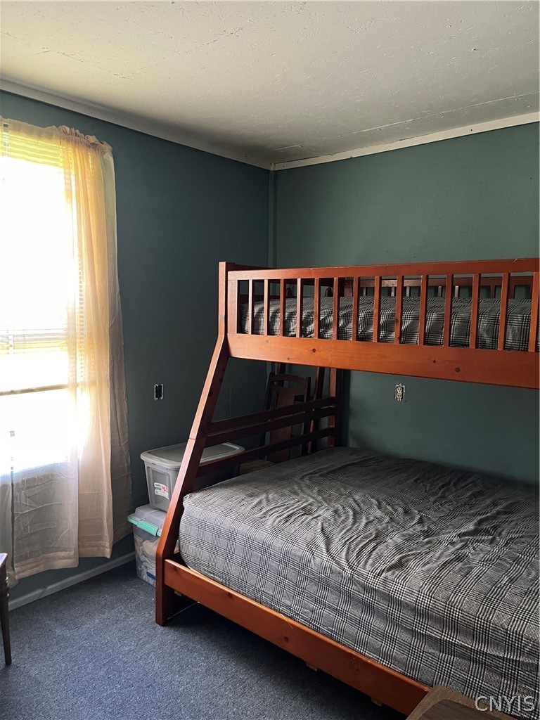 0 Brown Road Adams, NY 13605 - Photo 28 of 30