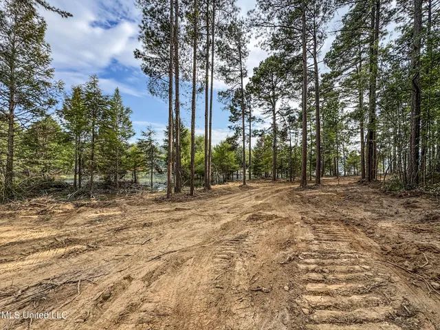 $2,439,500 | 348 Beaverdam Road, Camden, MS 39045
