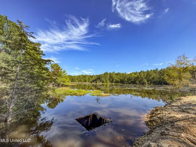 $2,734,000 | 348 Beaverdam Road, Camden, MS 39045