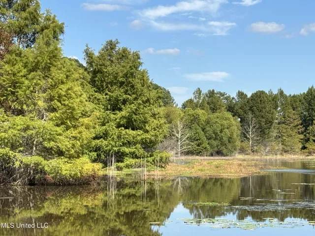$2,734,000 | 348 Beaverdam Road, Camden, MS 39045