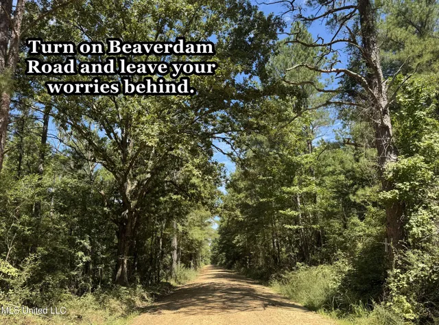 $2,439,500 | 348 Beaverdam Road, Camden, MS 39045