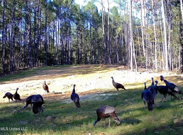 $2,734,000 | 348 Beaverdam Road, Camden, MS 39045