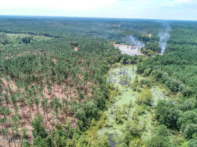 $2,439,500 | 348 Beaverdam Road, Camden, MS 39045