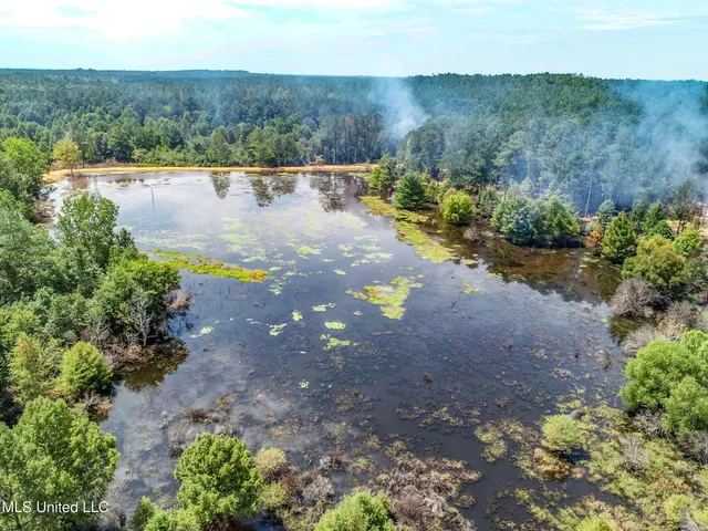 $2,439,500 | 348 Beaverdam Road, Camden, MS 39045