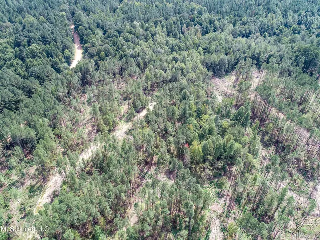 $2,439,500 | 348 Beaverdam Road, Camden, MS 39045