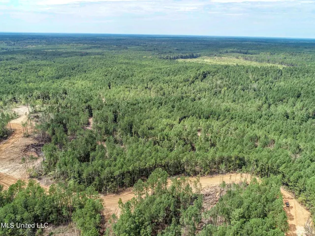 $2,439,500 | 348 Beaverdam Road, Camden, MS 39045