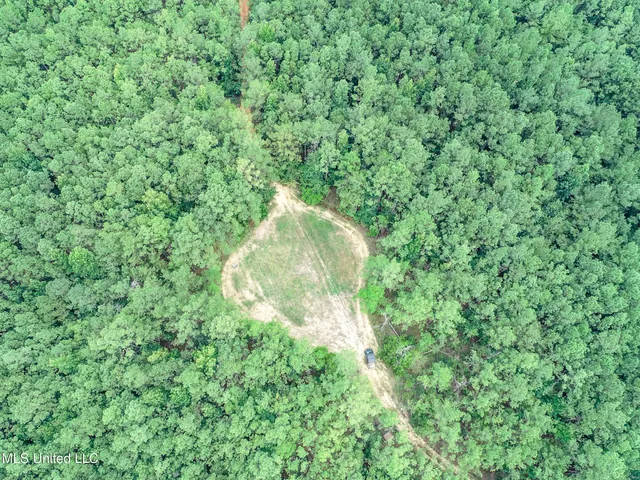 $2,734,000 | 348 Beaverdam Road, Camden, MS 39045