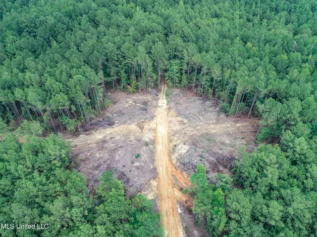 $2,734,000 | 348 Beaverdam Road, Camden, MS 39045