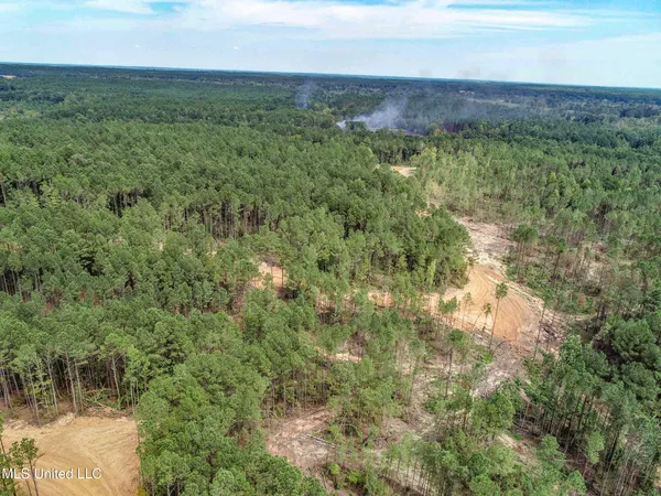 $2,675,000 | 348 Beaverdam Road, Camden, MS 39045