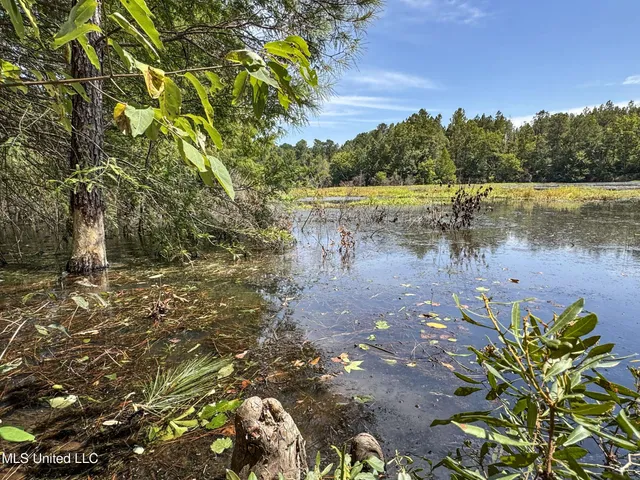 $2,439,500 | 348 Beaverdam Road, Camden, MS 39045