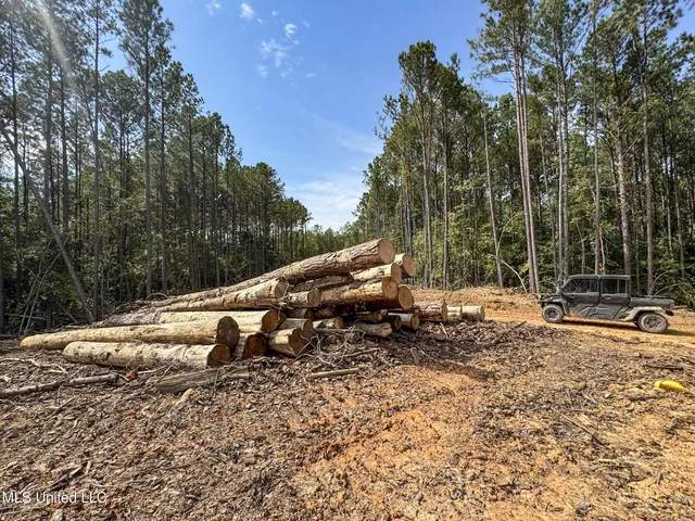 $2,439,500 | 348 Beaverdam Road, Camden, MS 39045