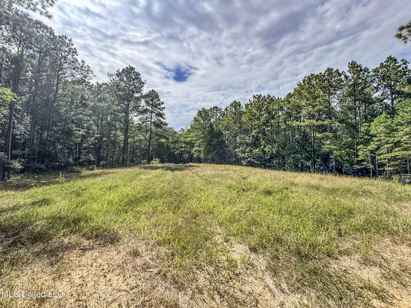 $2,675,000 | 348 Beaverdam Road, Camden, MS 39045