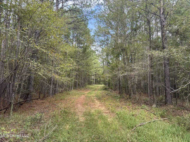 $2,734,000 | 348 Beaverdam Road, Camden, MS 39045