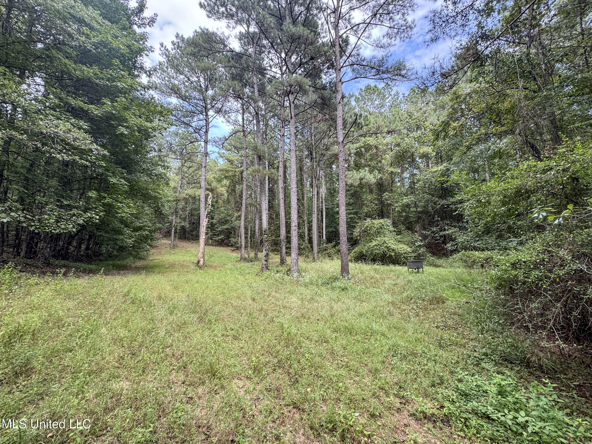 348 Beaverdam Road Camden, MS 39045 - Photo 54 of 110 7djhmad58