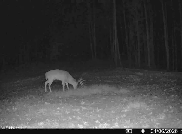 $2,675,000 | 348 Beaverdam Road, Camden, MS 39045