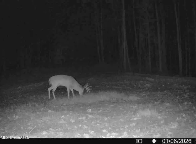 $2,734,000 | 348 Beaverdam Road, Camden, MS 39045