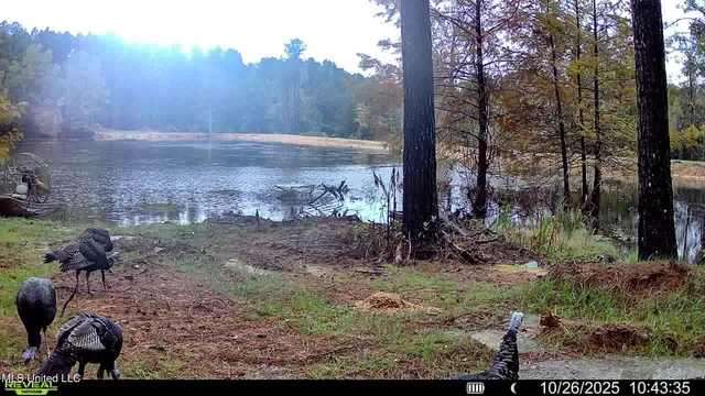 $2,439,500 | 348 Beaverdam Road, Camden, MS 39045