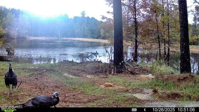 $2,439,500 | 348 Beaverdam Road, Camden, MS 39045