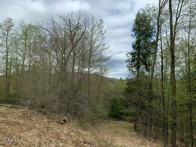 $77,500 | L4 Alder Brook Road, Brant Lake, NY 12815