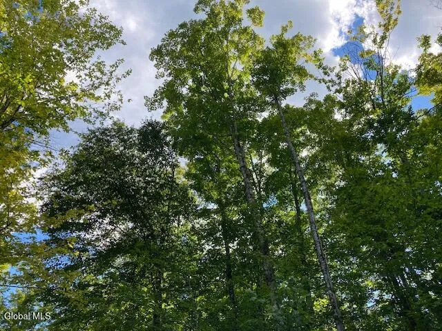 $77,500 | L4 Alder Brook Road, Brant Lake, NY 12815