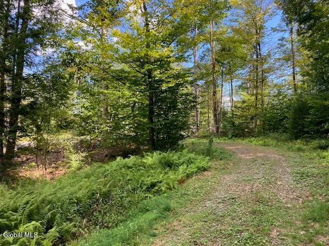 $77,500 | L4 Alder Brook Road, Brant Lake, NY 12815