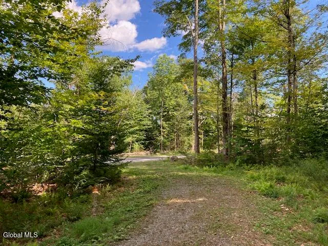 $77,500 | L4 Alder Brook Road, Brant Lake, NY 12815