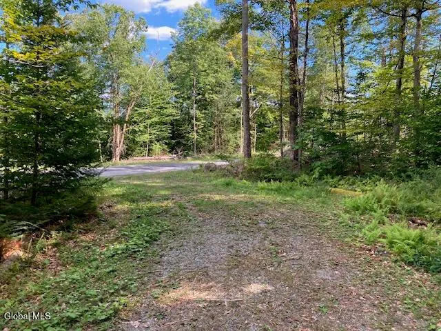 $77,500 | L4 Alder Brook Road, Brant Lake, NY 12815
