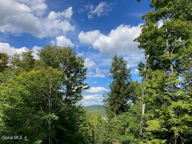 $77,500 | L4 Alder Brook Road, Brant Lake, NY 12815