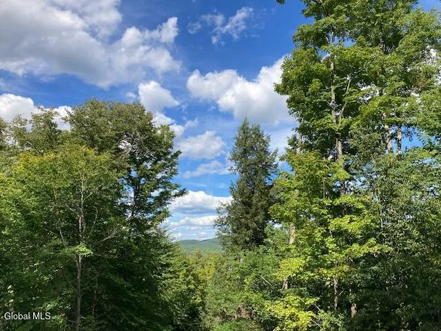 $77,500 | L4 Alder Brook Road, Brant Lake, NY 12815