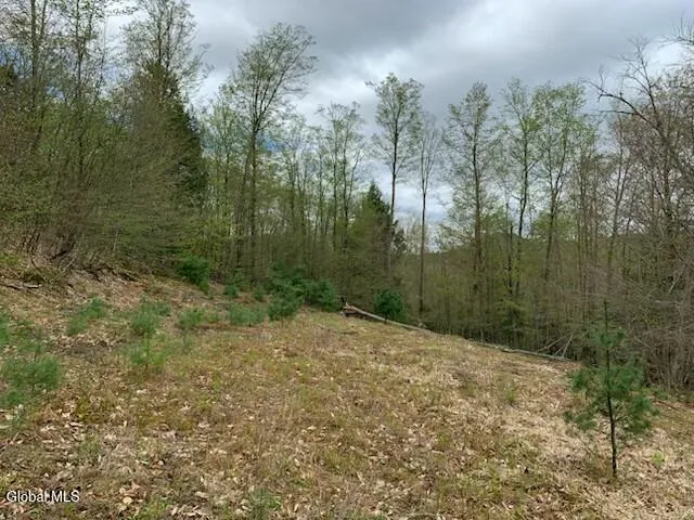 $77,500 | L4 Alder Brook Road, Brant Lake, NY 12815